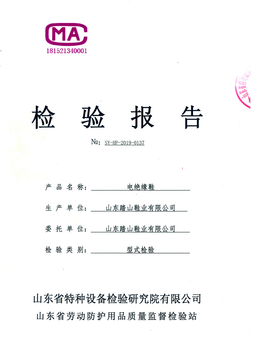 电绝缘检测报告-1