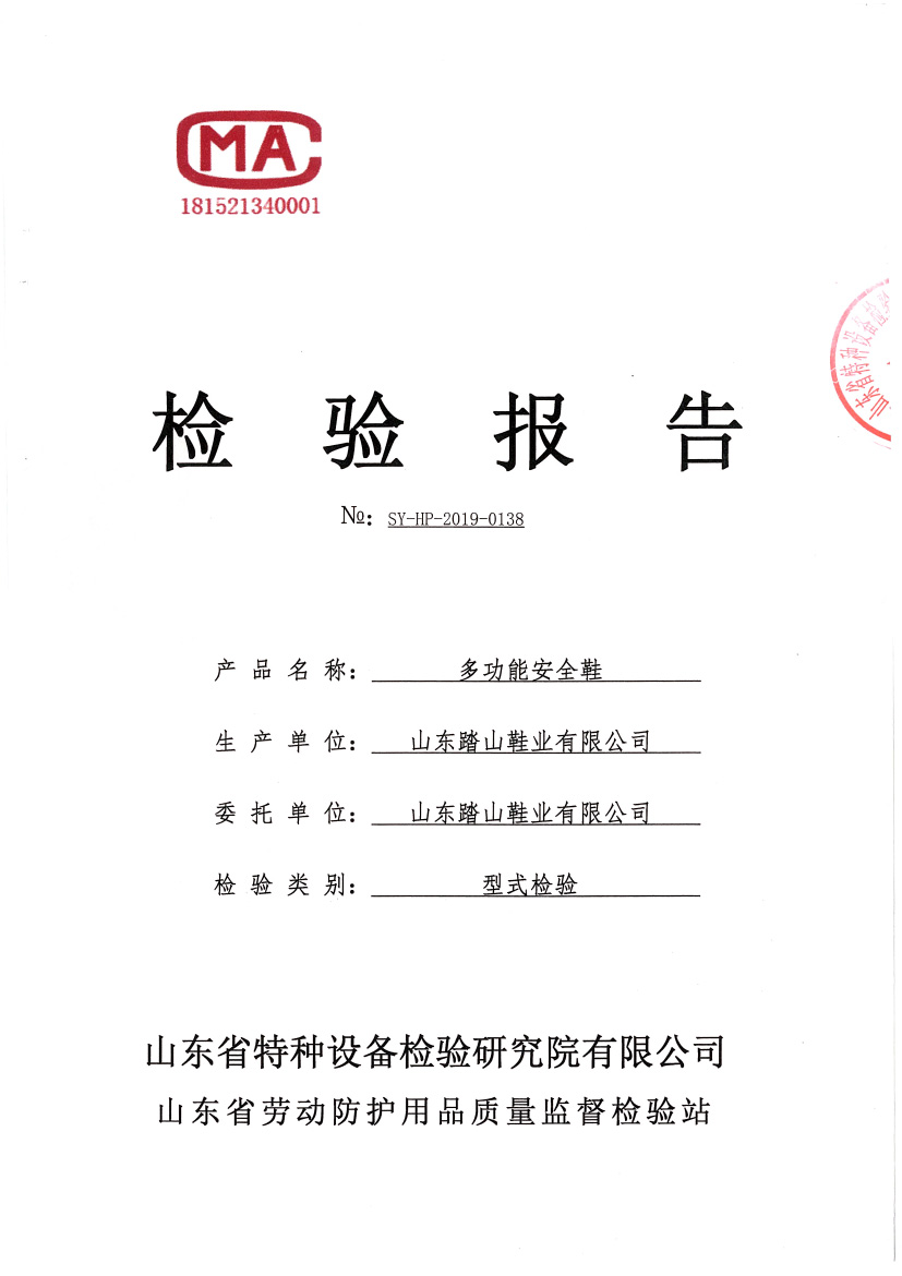 多功能检测报告-1